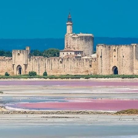 Studio En Petite Camargue Le Cailar Exteriör bild