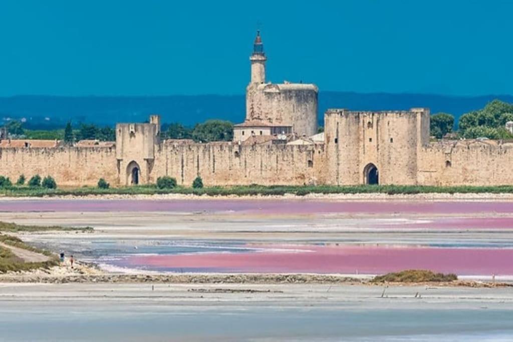 Studio En Petite Camargue Le Cailar Exteriör bild
